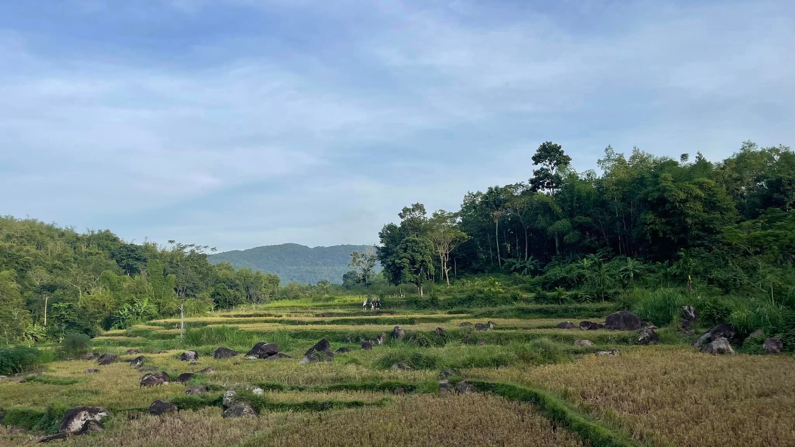 3 Days Mai Chau Trekking To Thai and Muong Hilltribe